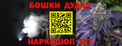 индика Кимры