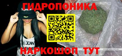 mdpv Кингисепп