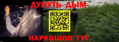 mdpv Кингисепп