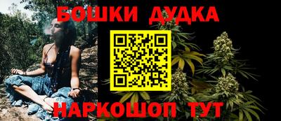 индика Кимры