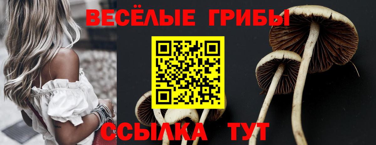 Псилоцибиновые грибы ЛСД Кострома